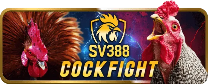 Số điện thoại hotline King88